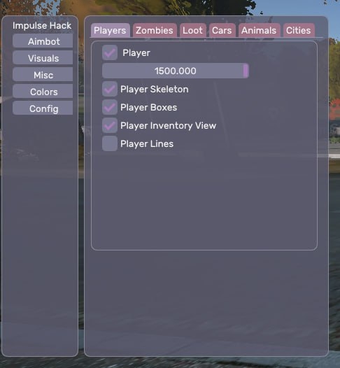 SIMMONI PIRATE Cheat For DAYZ