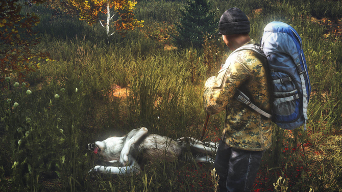 SOFTHUB Cheat For DAYZ